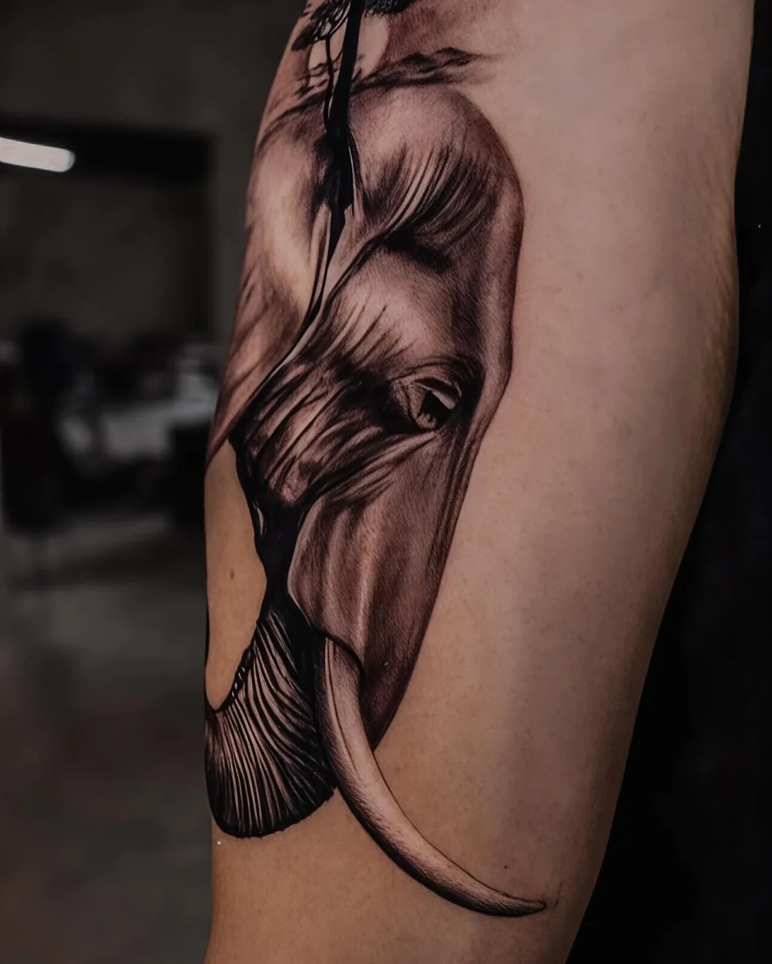 Black & Grey, Usee Tattoo