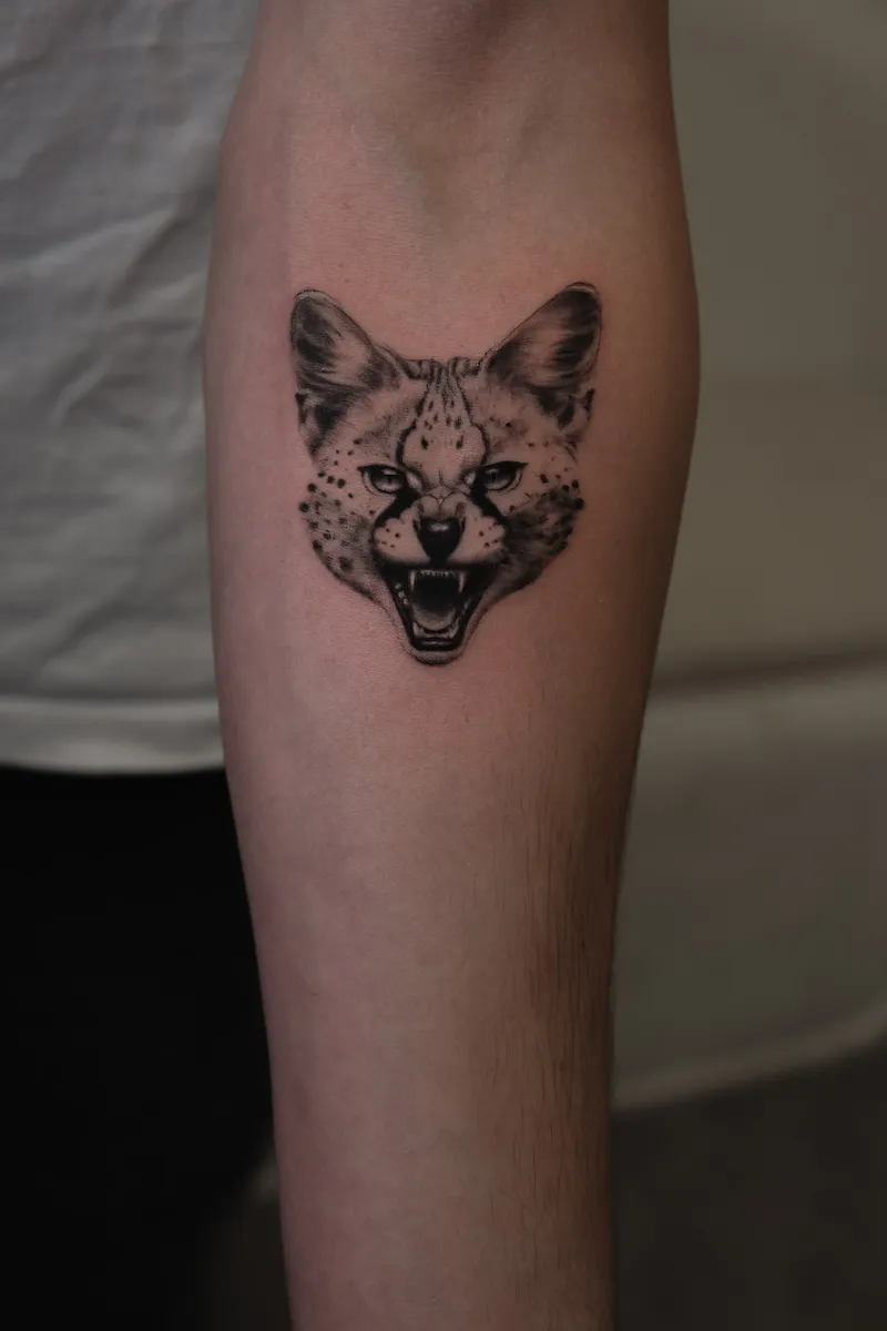 Jvd, Usee Tattoo